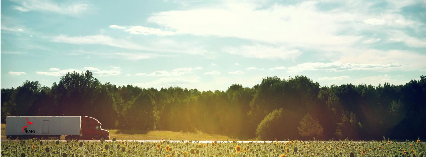 banner1